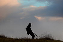 Silhouette of Man waiting to shoot game birds, Norfolk, UK