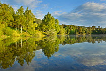 Loch Vaa in spring, Cairngorms NP, Scotland, UK, May 2011. Did you know? 90% of drinking water in Scotland comes from surface water sources, such as lochs and rivers.
