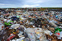 Garbage dump, Bethel, Alaska, USA
