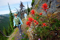 Women hiking in the North Cascades, Okanogan National Forest, Washington, USA, 2011