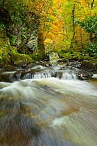 Water running over rocks, Lodore Falls, with autumnal trees in the background, Lake District, Cumbria England, UK, November