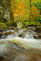 Water running over rocks, Lodore Falls, with autumnal trees in the background, Lake District, Cumbria, England, UK,  November