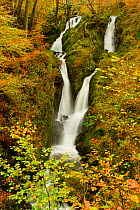 Stock Ghyll waterfall in autumn, Lake District NP, Cumbria, England, UK, November