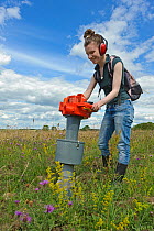RSPB research ecologist using vacuum apparatus to sample invertebrates at the RSPB's Hope Farm Reserve, Cambridgeshire, England, UK, July
