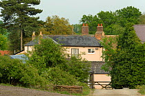 Farm buildings at RSPB's Hope Farm reserve, Knapwell, Cambridgeshire, England, UK, May