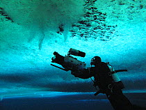 Cameraman, Didier Noirot, filming the formation of 'brinicles' (brine icicles or ice stalactites) under the ice, Ross Sea, McMurdo Sound, Antarctica. Taken on location during the filming of 'Winter' f...