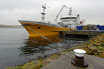 Pelagic trawler 'Charisma' tied up alongside Shetland Catch fish processing factory, Gremista, Lerwick, Shetland Islands, Scotland, UK, October 2011