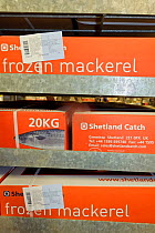 Boxes of mackerel ready for freezing at the Shetland Catch fish processing factory, Lerwick, Shetland Islands, Scotland, UK October 2011