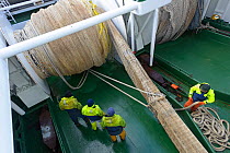 Crew of the pelagic trawler 'Charisma' working the nets, Shetland Islands, Scotland, UK, October 2011 Model Release available