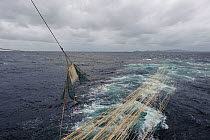 Pelagic trawler 'Charisma' hauling its net in, Shetland Isles, Scotland, UK, October 2011