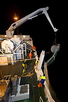Crew members fishing at night on board the pelagic trawler 'Charisma', Shetland Isles, Scotland, UK, October 2011