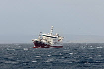 The pelagic trawler 'Research' fishing for mackerel close to the Shetland Isles, Scotland, UK, October 2011