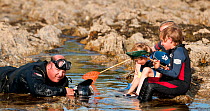 2020VISION photographer Alex Mustard photographing three young children rock pooling, Falmouth, Cornwall, England, UK, July 2011 Model Released