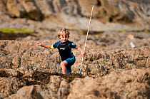 Young Boy climbing over rocks whilst rockpooling with nets, Falmouth, Cornwall, England, UK, July 2011 Model Released