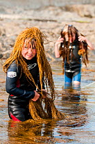Young boys playing, putting seaweed on their heads whilst rockpooling, Falmouth, Cornwall, England, UK, July 2011 Model released