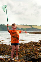 Young boy waving his net in the air whilst rockpooling, Falmouth, Cornwall, England, UK, July 2011 Model Released