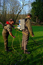 Environment Agency staff David Hunter and Richard Redsull preparing electrofishing equipment to catch and then release Atlantic salmon (Salmo salar) in connection with a breeding programme, River Itch...