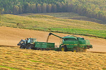 Combine harvester harvesting Barley (Hordeum vulgare) crop, Strathspey, Highlands, Scotland, UK, October