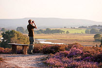 Birdwatcher standing by a bench scanning for a visiting Osprey, Arne RSPB reserve, Dorset, England, UK, September. Model released.