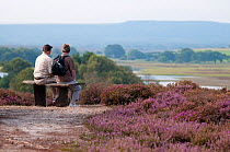 Retired couple sitting on bench, Arne RSPB reserve, Dorset, England, UK, September. Model released.