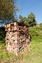 Bug house made from wooden pallets to encourage a mixture of bugs and bees, Arne RSPB reserve, Dorset, England, UK, September