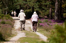 Man and woman walking along path through woodland, Arne, RSPB reserve, Dorset, England, UK, September