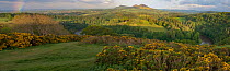 Panoramic view over the River Tweed at sunrise of the Eildon Hills from 'Scott's View', with rainbow, Melrose, Scotland, England, UK, May