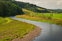 Landscape view of the River Whiteadder, a tributary of the River Tweed, with two scientists downstream electro fishing to monitor population, density and health of Atlantic salmon (Salmo salar) and Br...