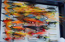 Box of various coloured fishing fly hooks, Selkirkshire, Scotland, UK, October