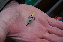 Sample of fishing fly hook in a fisherman's hand, Selkirkshire, Scotland, UK, October 2011
