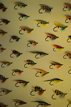 Coloured fly fishing hooks displayed on a wall at The Ednam House Hotel a specialist fishing hotel in Kelso, Scotland, UK, October 2011