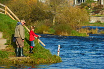 Family fishing from the bank of the River Tweed at Junction Pool, Kelso, Roxburghshire, Scotland, UK, October 2011