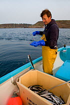 Fisherman handlining for Atlantic mackerel (Scomber scombrus) from a small boat, Newlyn, Cornwall, England, UK, 2011, Model released