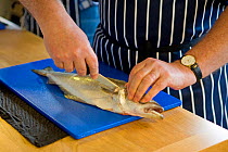 Group of people on a seafood cookery course, during the course, run by Dorset-based Fraser Christian, people learn about fish and shellfish cookery skills, with an emphasis on locally-caught sustainab...