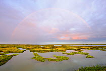 View of regenerated saltmarsh landscape around Abbots Hall Farm Nature Reserve at high tide, providing both a rich wildlife habitat and greater flood protection from sea level rise, with rainbow, Esse...
