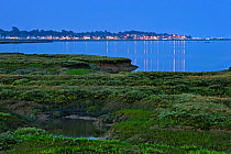 Saltmarsh at twilight, with lights of Bradwell-on-Sea in the background, Abbotts Hall Farm Nature Reserve, Essex, England, UK, July 2011