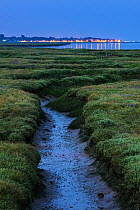Saltmarsh at twilight, with lights of Bradwell-on-Sea in the background, Abbotts Hall Farm Nature Reserve, Essex, England, UK, July 2011