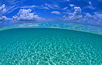 A split level view of shallow water and clouds in summer, Seven Mile Beach, Grand Cayman, Cayman Islands, British West Indies. Caribbean Sea.
