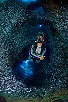 Diver swimming through dense school of Silversides (Atherinidae)  inside a coral cavern, Grand Cayman, Cayman Islands, British West Indies, Caribbean Sea. Model released