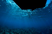 Looking up at a dive boat over a shallow reef, East End, Grand Cayman, Cayman Islands, British West Indies, Caribbean Sea.