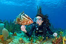 Diver tickling Nassau grouper (Epinephelus striatus)  Bloody Bay Wall, Little Cayman, Cayman Islands. British West Indies, Caribbean Sea. Model released.