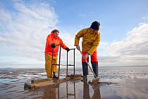 Cockle fishermen working in Morecambe Bay, Cumbria, England, UK, February. Model released  . 2020VISION Exhibition.