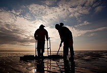 Cockle fishermen working in Morecambe Bay, Cumbria, England, UK, February. Model released