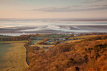 View from Arnside Knott over Morecambe Bay hinterland at dawn, Arnside, Cumbria, England, UK, February. 2020VISION Book Plate.
