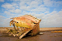 Wrecked fishing boat, Roa Island, Morecambe Bay, Cumbria, England, UK, February 2012