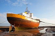 Old fishing boat held upright at low tide with ropes and chains, Roa Island, Morecambe Bay, Cumbria, England, UK, February 2012. Did you know? Over the last decade the number of  UK fishermen has decl...