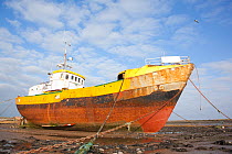 Old fishing boat held upright at low tide with ropes and chains, Roa Island, Morecambe Bay, Cumbria, England, UK, February 2012