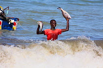 Young fisherman bringing fish ashore from boat off Tanji beach, The Gambia, December 2010