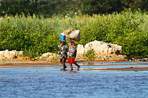 Two women crossing river, carrying livestock fodder, The Gambia, December 2010