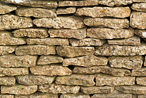 Dry stone wall, Cotswolds, Gloucestershire, England